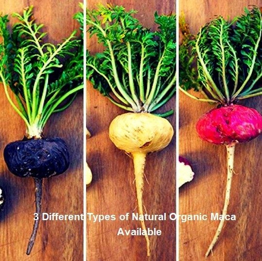 Black Maca – Increases Stamina, Brain Function, Stamina, Endurance and Fertility Carousel 3