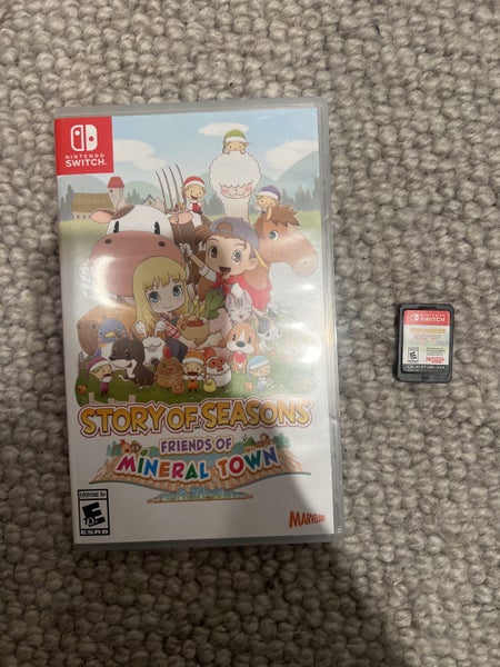 Story of seasons friends of mineral town Carousel 1