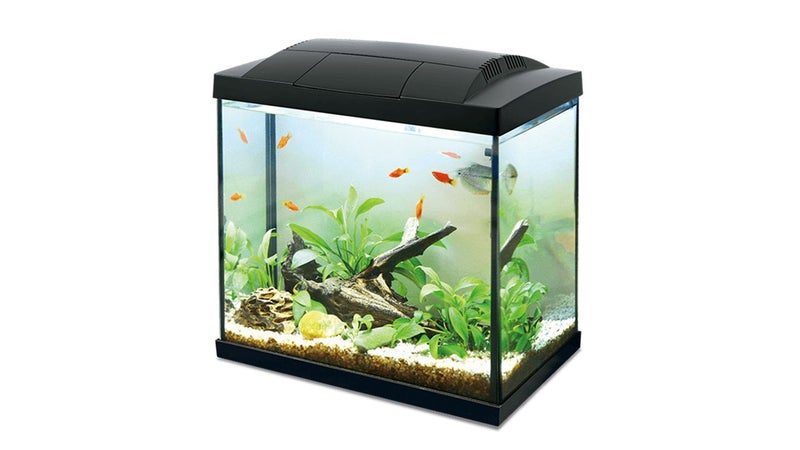 Aquarium - Hailea LED Aquarium 30L - Black Carousel 1
