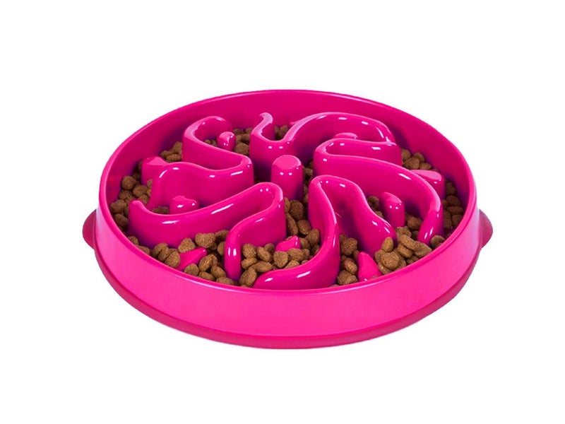 Dog Slow Feeder (OVER STOCKED) Carousel 12