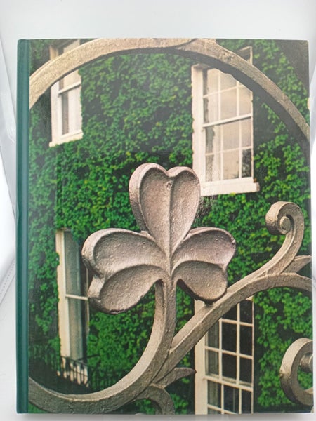 Dublin by Brendan Lehane64209874086275110