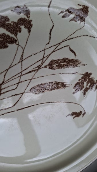 7 x Crown Lynn Wild Wheat dinner plates Carousel 2
