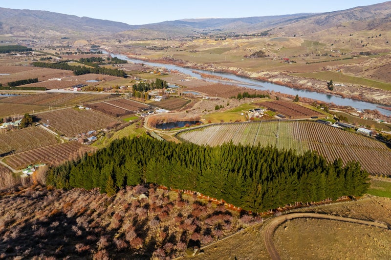 Views Across Orchards & Hills64219906504322113