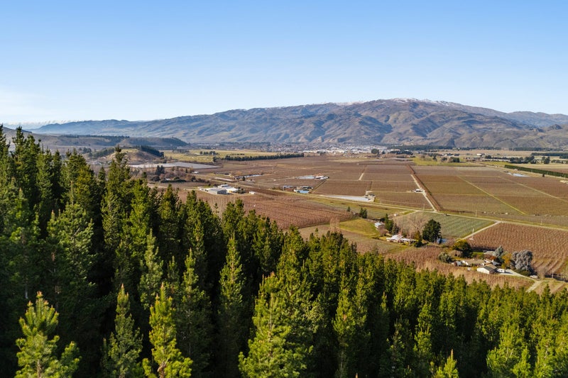 Views Across Orchards & Hills64219906504322114