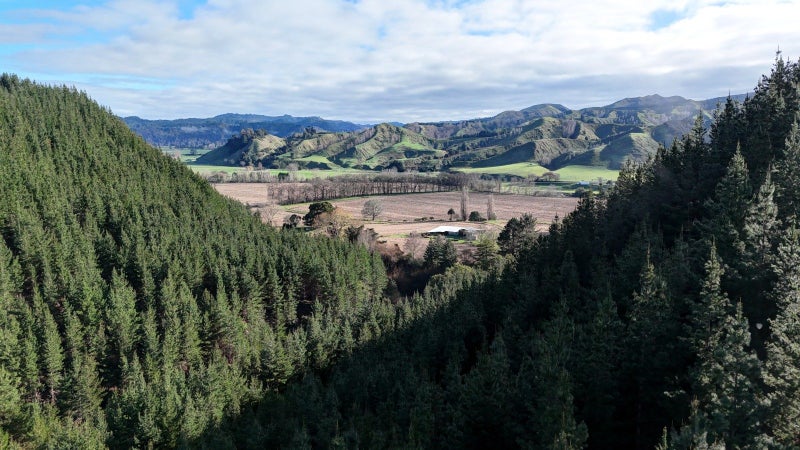 Image 2 of 19