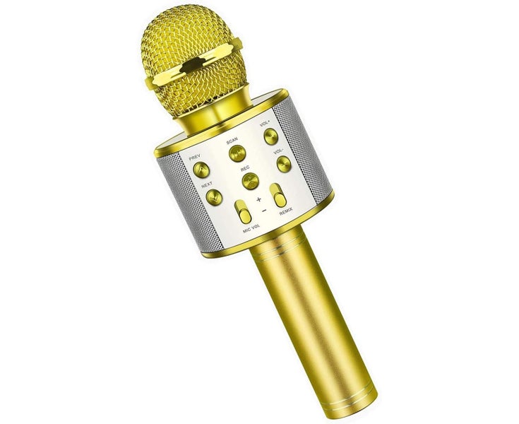 Fun Toys for 3-12 Year Old Girls, Microphone for Kids Karaoke Microphone Birt Carousel 1