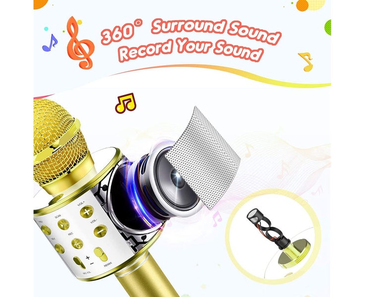 Fun Toys for 3-12 Year Old Girls, Microphone for Kids Karaoke Microphone Birt Carousel 2