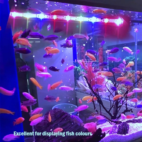 USB Powered aquarium tube light Carousel 2