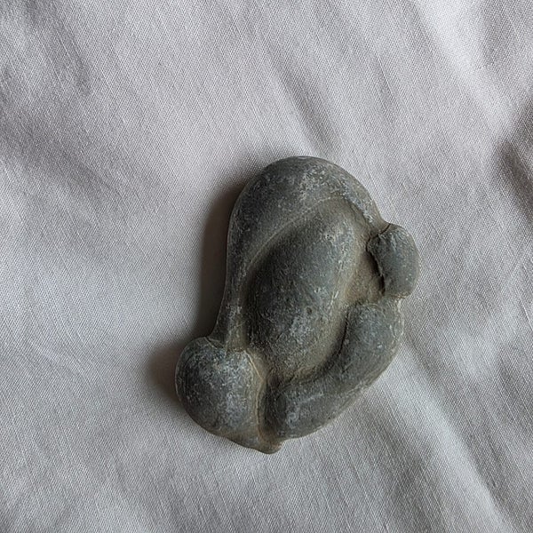 Fairy stone (calcite concretion) Carousel 1