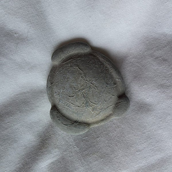 Fairy stone (calcite concretion) Carousel 1
