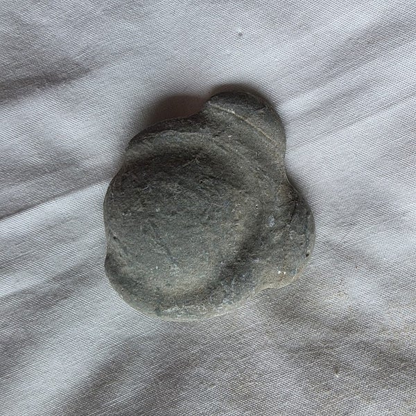 Fairy stone (calcite concretion) Carousel 2