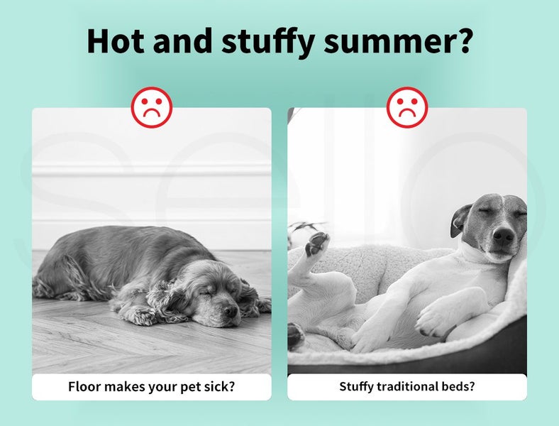 Pawz Pet Cooling Mat Cat Dog Gel Non-Toxic Bed Pillow Sofa Self-cool Summer S Carousel 2
