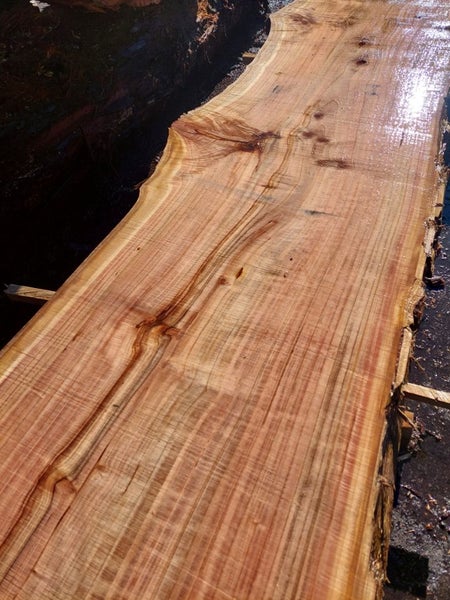 Redwood slabs.beautiful. Carousel 2
