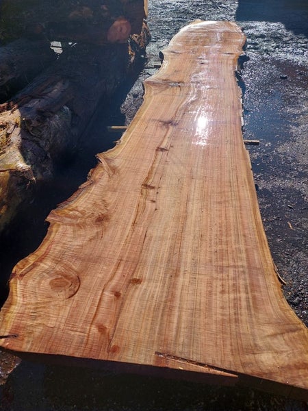 Redwood slabs.beautiful. Carousel 1
