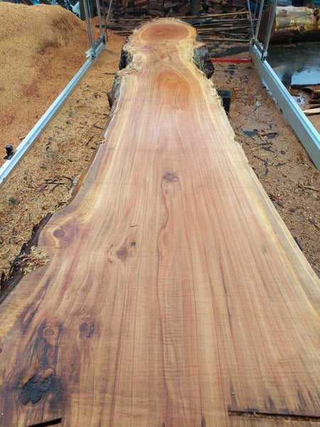 Redwood slabs.beautiful. Carousel 7