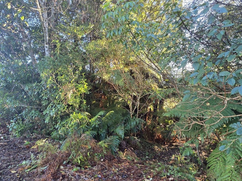 Image 3 of 9