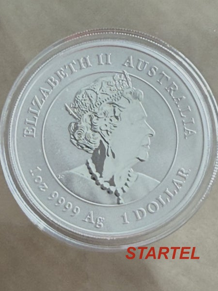 Lunar Rabbit 1 Oz colour coin - Perth Mint Carousel 2