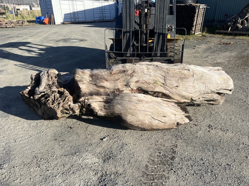 1000 kg Small Ancient Kauri Stump Root Log – Natural Art / Collector’s Piece Carousel 1