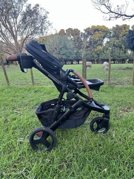 Edwards and Co Stroller Carousel 1