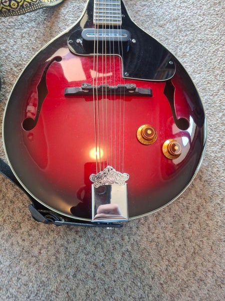 Greg Bennett Design Mandolin Carousel 2