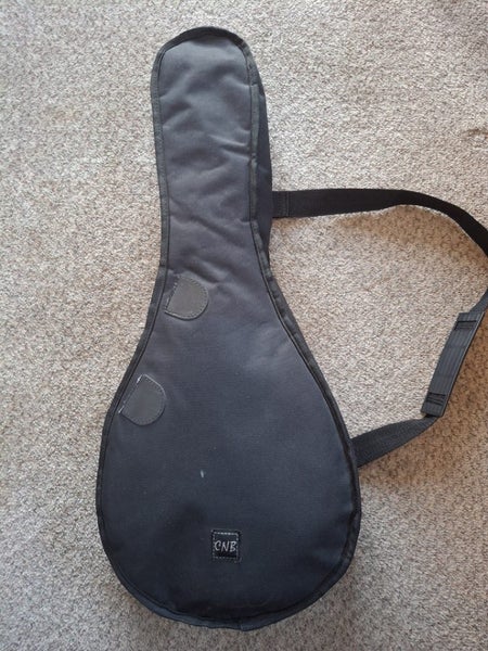 Greg Bennett Design Mandolin Carousel 11