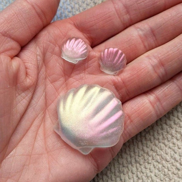 Sea Shell Starfish Resin Mould Silicone Mold Carousel 5