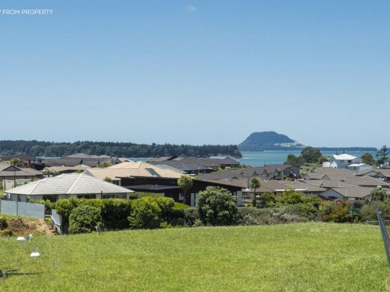 Image 1 of 14