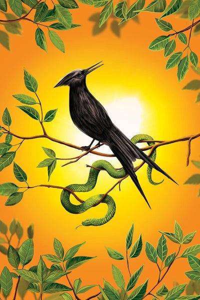 The Deluxe Hunger Games Collection Carousel 5