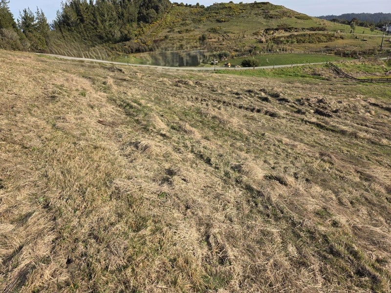 Image 3 of 25