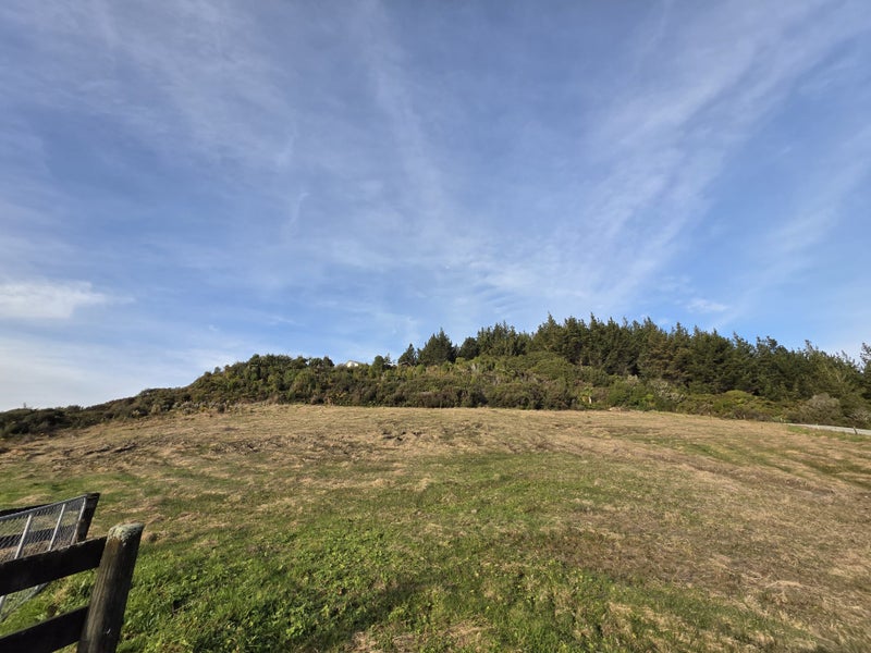 Image 1 of 25