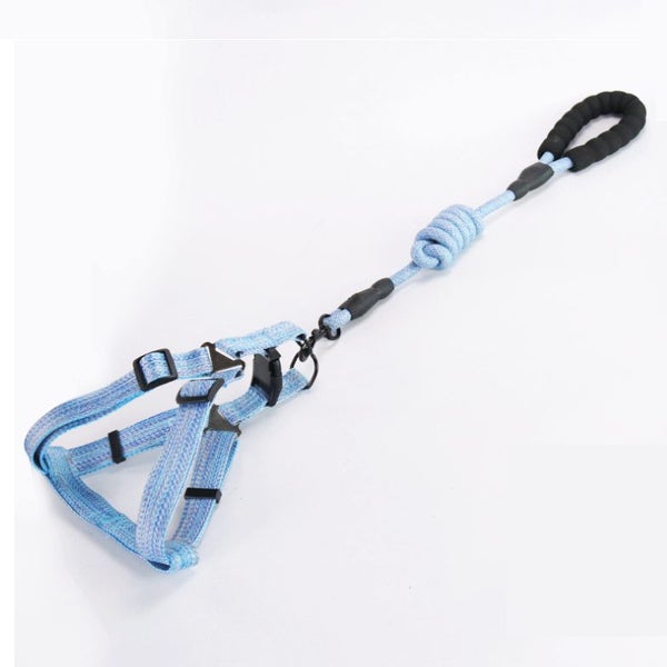 Puppy Harnesses and Leash Set Carousel 1