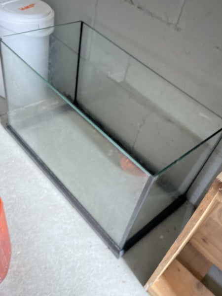 Large fish tank Carousel 1