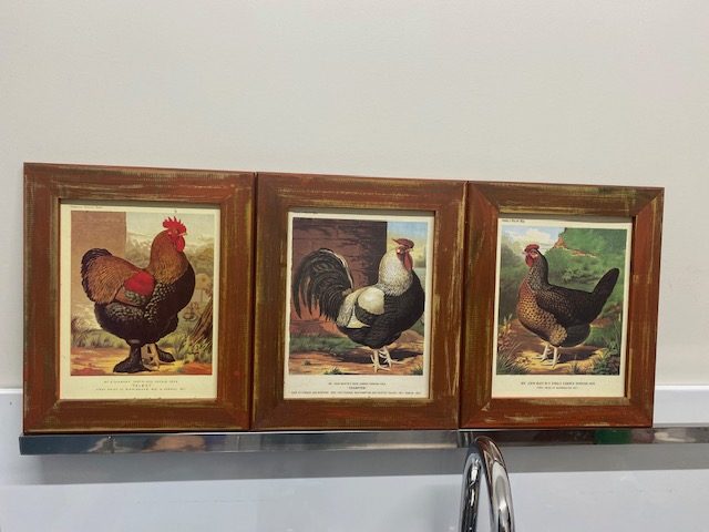 Poultry Art Prints Carousel 1