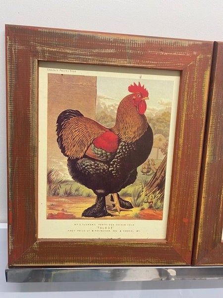 Poultry Art Prints Carousel 2