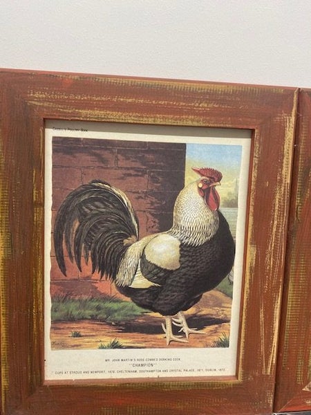 Poultry Art Prints Carousel 4