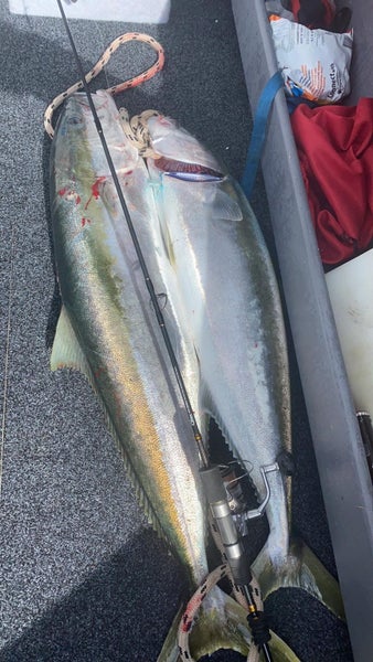 Catch Pro Series Kensai Slow Pitch Spin Jigging Rod 6ft 3in 1 Piece 80-150 gram Carousel 2