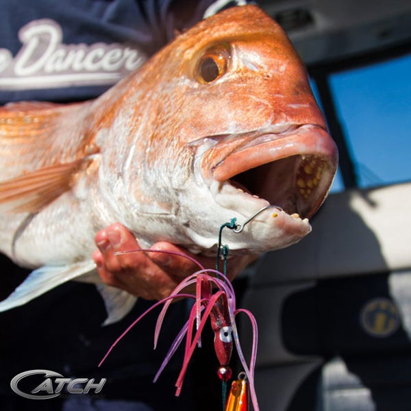 Catch Beta Bug Orange Inchiku Lure (20-200g) Carousel 2