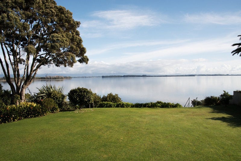 Image 1 of 20