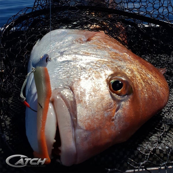 Catch Softbait Value Pack with Tackle Box Carousel 2