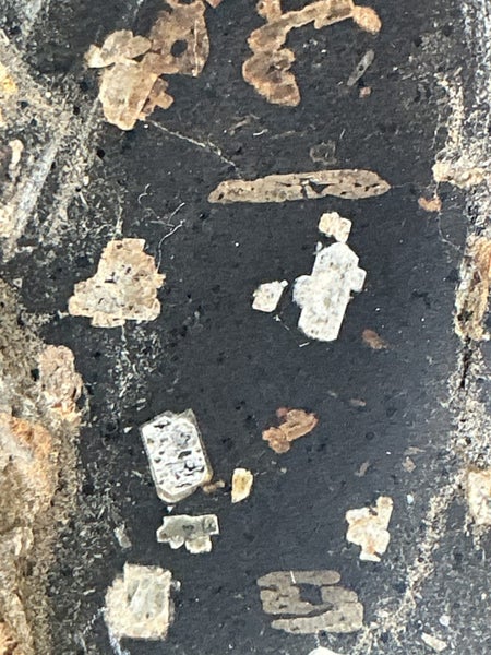 CM meteorite CB group Note the nickel-iron chondrules and very rare pallasites. Carousel 1