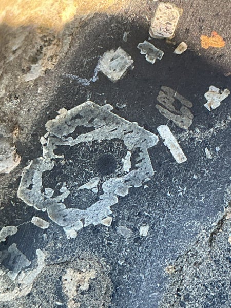 CM meteorite CB group Note the nickel-iron chondrules and very rare pallasites. Carousel 2