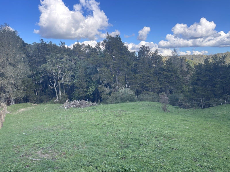 Image 1 of 16