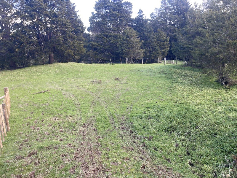 Image 3 of 16