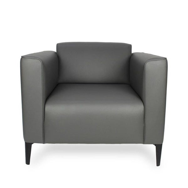 Claire Lounge Chair - Charcoal Eco-Leather Carousel 1