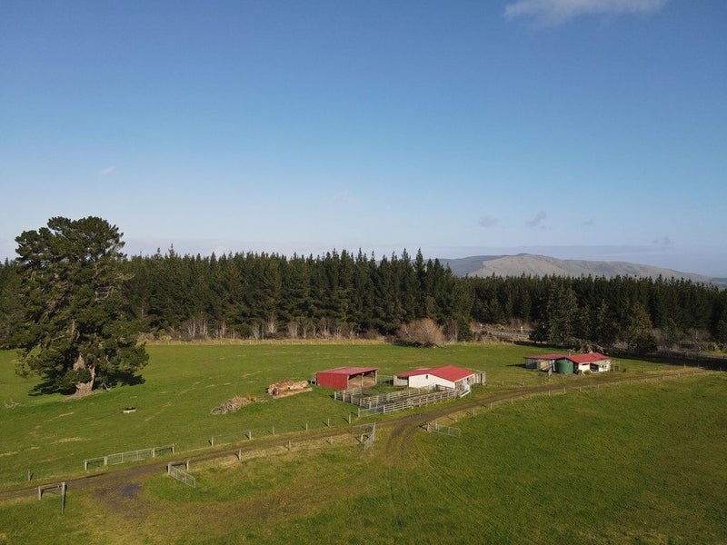 Image 1 of 28