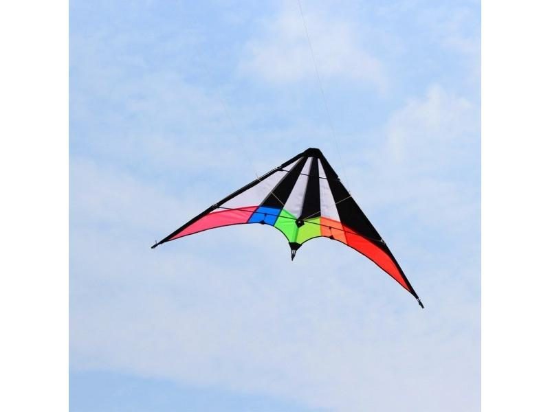 NEW Arrive 48 Inch Rainbow Professional Dual Line Stunt Kite With Handle And Carousel 1