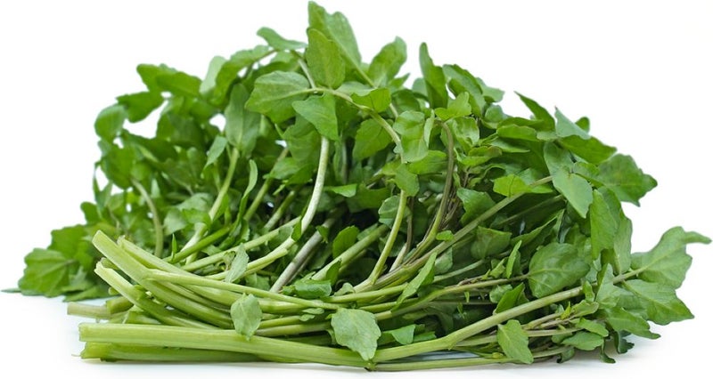 WATERCRESS :Water is vital for growing, tasty leaves! salad/stir-fries 3000+ sds Carousel 4