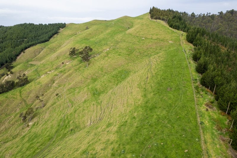 Image 3 of 7