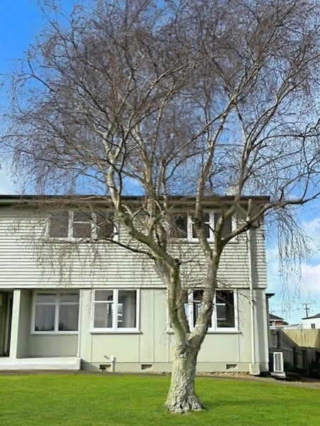 Image 1 of 11