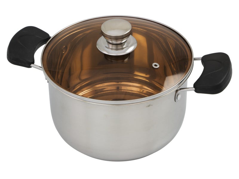 20cm Stainless Steel Stock Pot with Smoked Glass Lid Carousel 1